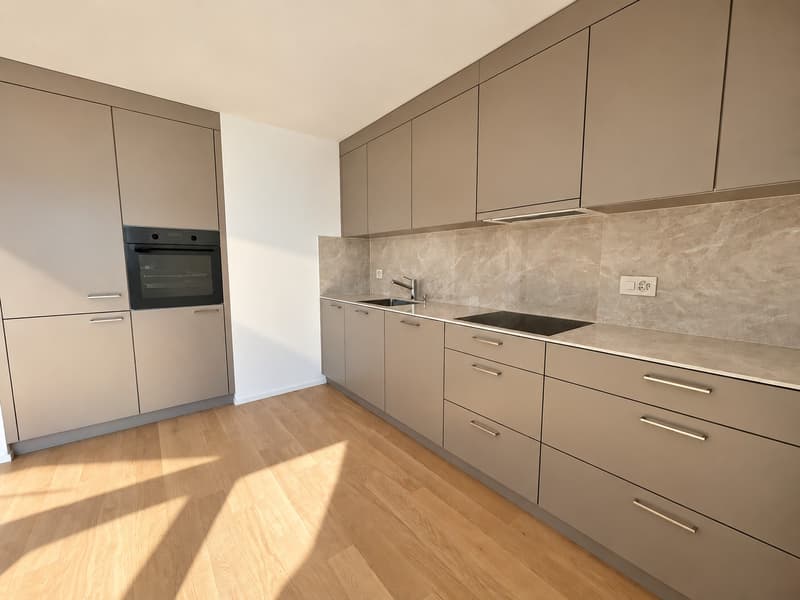 Moderne und helle Wohnung mit grosszügiger Dachterrasse in Aadorf (4)