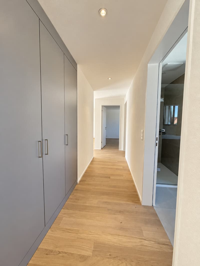 Moderne und helle Wohnung mit grosszügiger Dachterrasse in Aadorf (2)