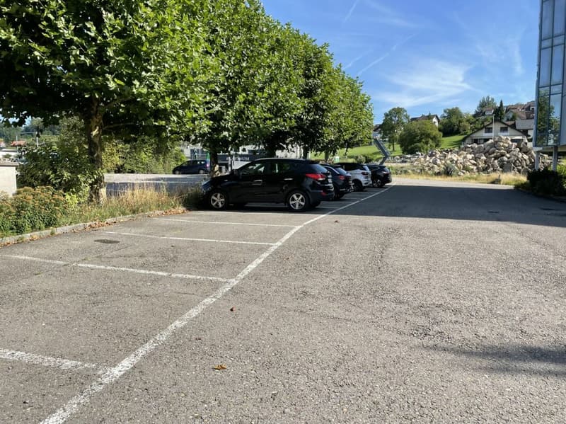 Espaces commerciaux représentatifs dans un excellent emplacement (5)