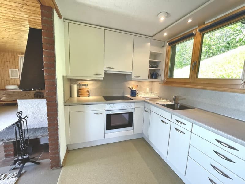 Ferienhaus mit traumhafter Zürichsee- und Alpensicht - 894 m² Grundstück (13)