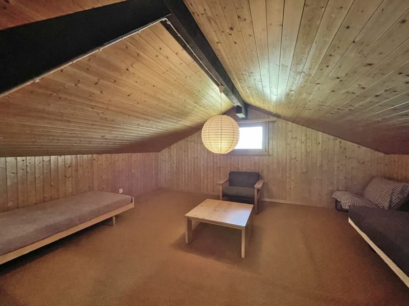 Ferienhaus mit traumhafter Zürichsee- und Alpensicht - 894 m² Grundstück (17)