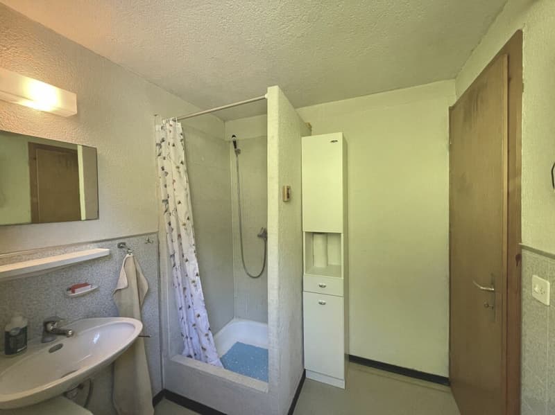 Ferienhaus mit traumhafter Zürichsee- und Alpensicht - 894 m² Grundstück (15)