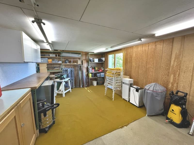 Ferienhaus mit traumhafter Zürichsee- und Alpensicht - 894 m² Grundstück (18)