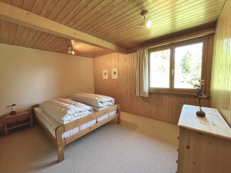 Ferienhaus mit traumhafter Zürichsee- und Alpensicht - 894 m² Grundstück (14)