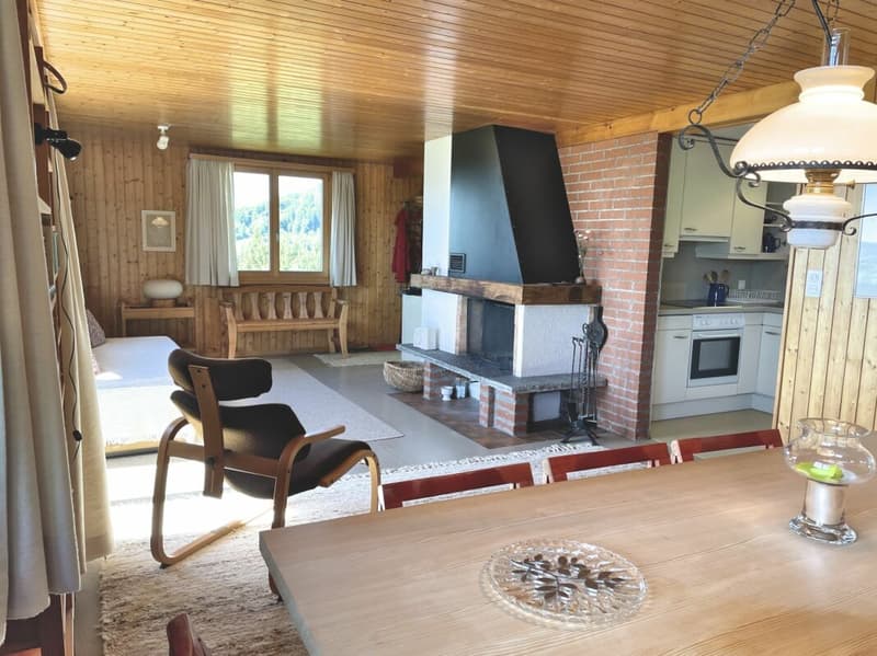 Ferienhaus mit traumhafter Zürichsee- und Alpensicht - 894 m² Grundstück (10)