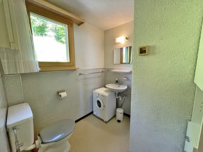 Ferienhaus mit traumhafter Zürichsee- und Alpensicht - 894 m² Grundstück (16)