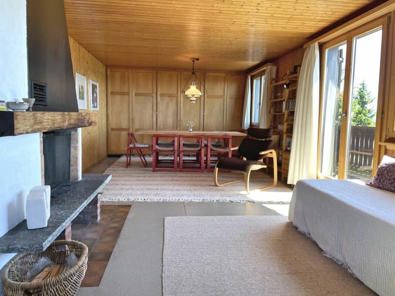 Ferienhaus mit traumhafter Zürichsee- und Alpensicht - 894 m² Grundstück (8)