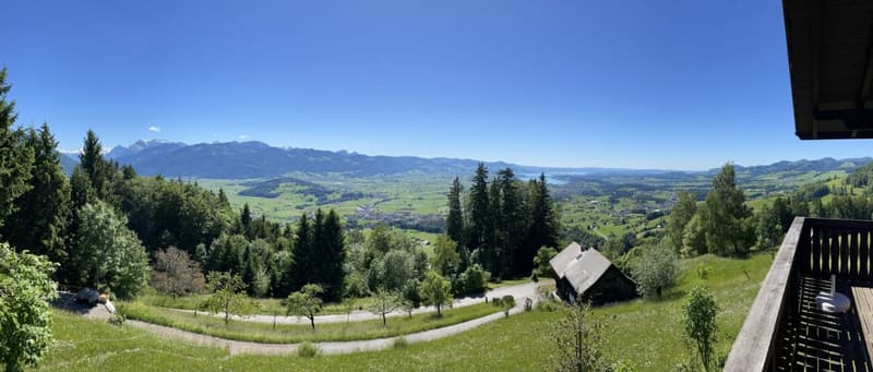 Ferienhaus mit traumhafter Zürichsee- und Alpensicht - 894 m² Grundstück (6)