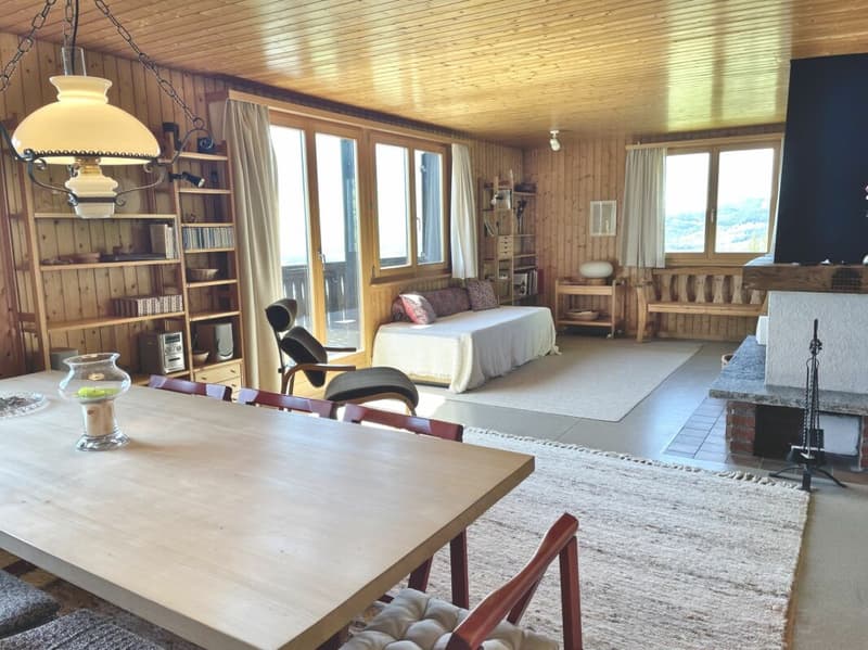 Ferienhaus mit traumhafter Zürichsee- und Alpensicht - 894 m² Grundstück (9)