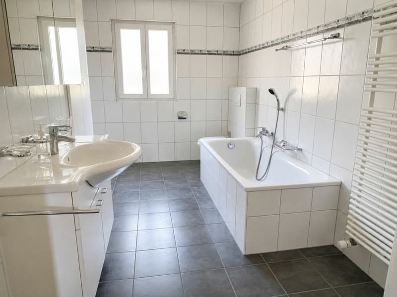 Ehemalige Sennerei mit 5,5-Zimmerwohnung, altem Stall, Garage und viel Raum für neue Ideen (13)