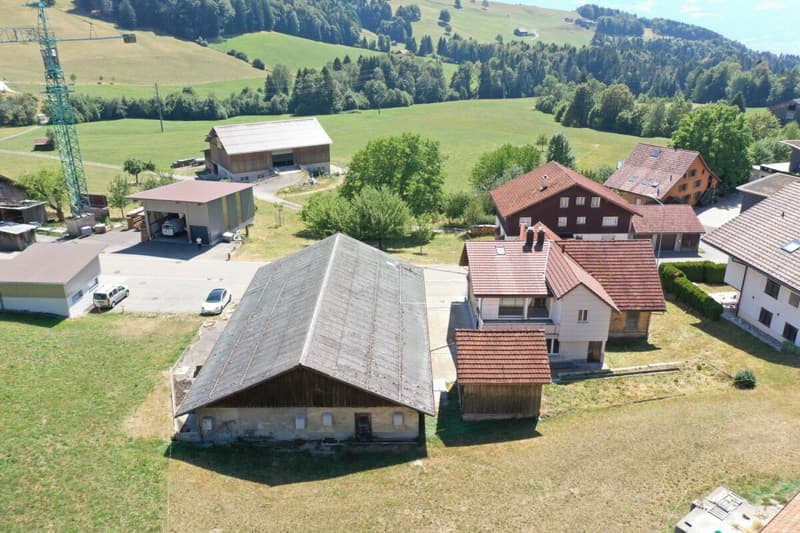 Ehemalige Sennerei mit 5,5-Zimmerwohnung, altem Stall, Garage und viel Raum für neue Ideen (3)