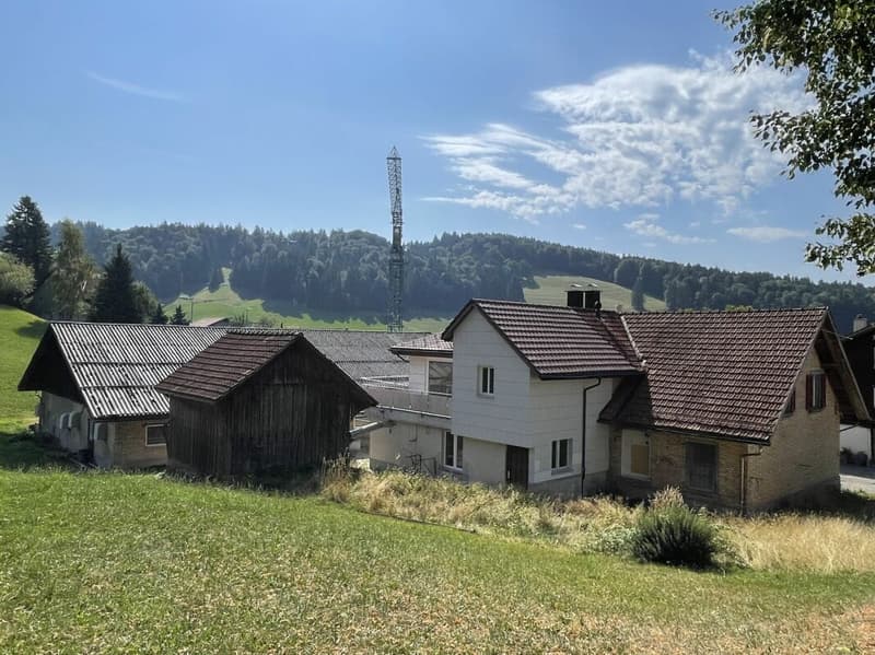 Ehemalige Sennerei mit 5,5-Zimmerwohnung, altem Stall, Garage und viel Raum für neue Ideen (7)
