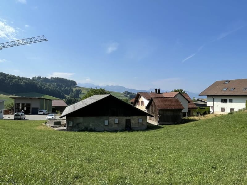 Ehemalige Sennerei mit 5,5-Zimmerwohnung, altem Stall, Garage und viel Raum für neue Ideen (8)