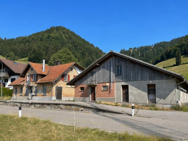 Ehemalige Sennerei mit 5,5-Zimmerwohnung, altem Stall, Garage und viel Raum für neue Ideen (4)
