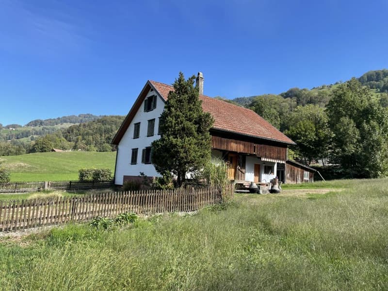 Eine seltene Gelegenheit - Liebhaberobjekt mit 3'938 m² Land mitten im Grünen (4)