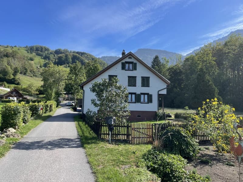 Eine seltene Gelegenheit - Liebhaberobjekt mit 3'938 m² Land mitten im Grünen (3)