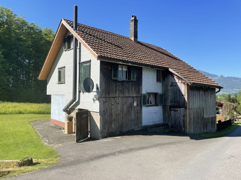 Eine seltene Gelegenheit - Liebhaberobjekt mit 3'938 m² Land mitten im Grünen (6)