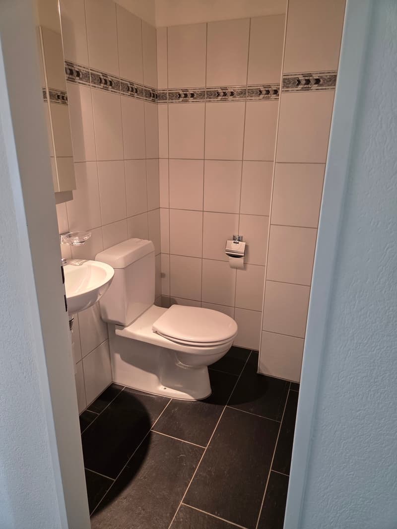 Grosszügige 4.5-Zimmer-Maisonette-Wohnung an ruhiger Lage mit traumhafter See- und Bergsicht (6)