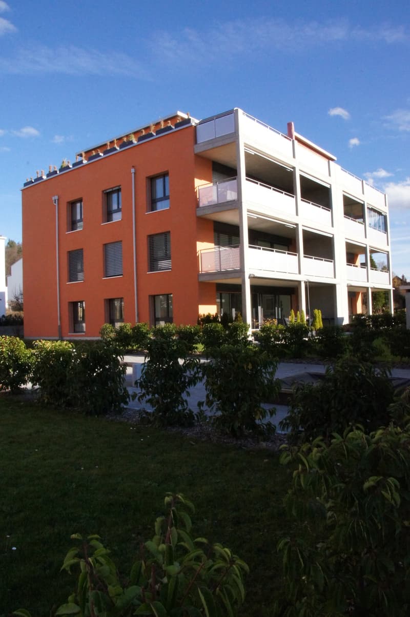 Sonnendurchflutete 4.5-Zimmer-Attikawohnung mit 123 m² Terrasse (2)