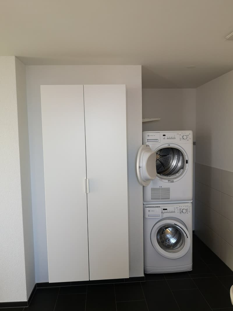 Sonnendurchflutete 4.5-Zimmer-Attikawohnung mit 123 m² Terrasse (12)