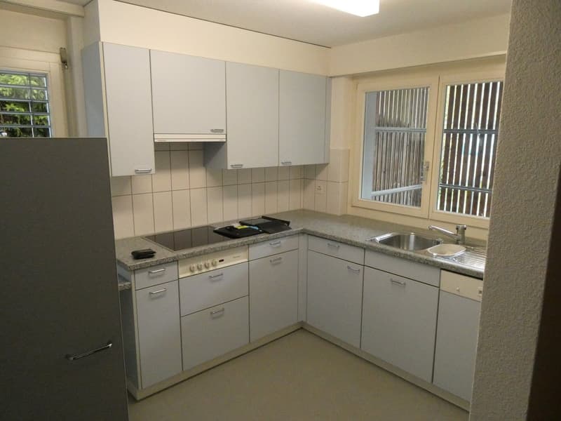 3.5 Zimmerwohnung mit tollem Grundriss und Gartensitzplatz (2)