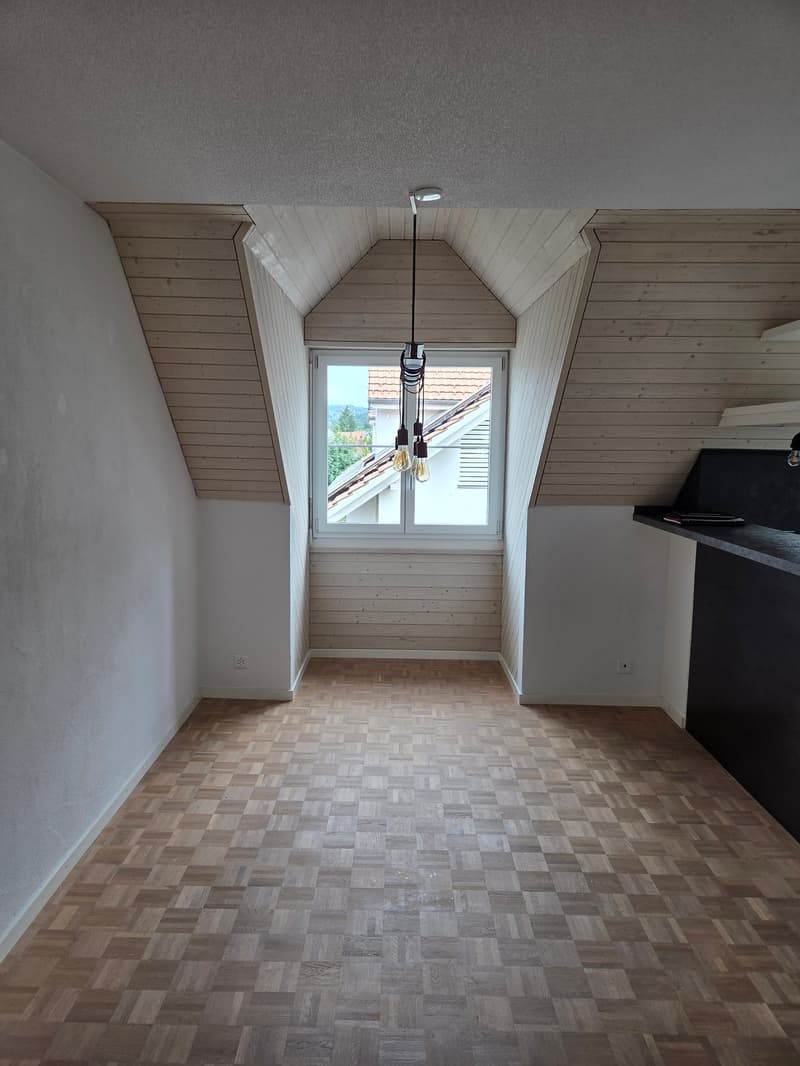 Lichtdurchflutete 4.5-Zimmer-Dachmaisonettewohnung mit herrlicher Aussicht (3)