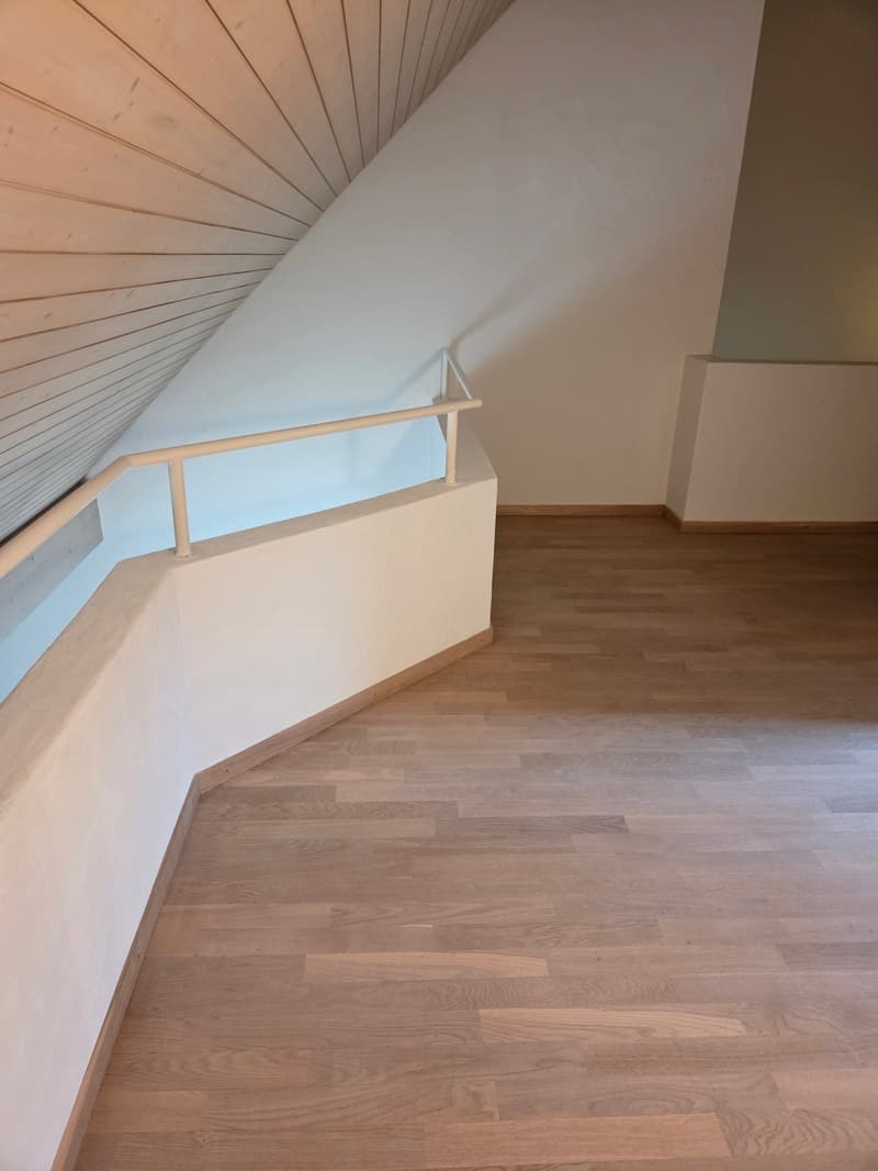 Lichtdurchflutete 4.5-Zimmer-Dachmaisonettewohnung mit herrlicher Aussicht (10)