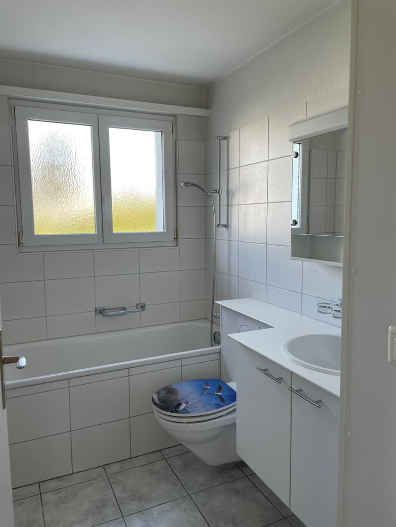 Helle Wohnung mit schönem Seeblick (3)