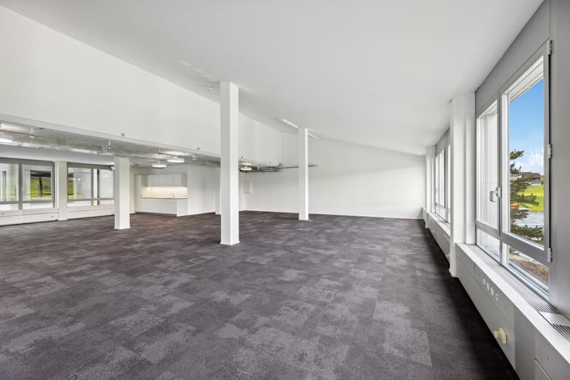 large open space, carpet flooring, tall windows, white walls, pillars