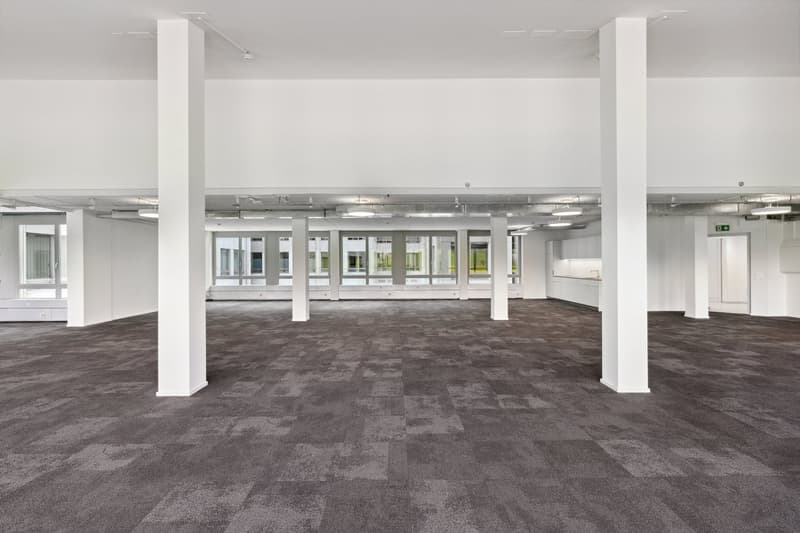 Spacious room with carpeted floor, white pillars, ceiling lamps, and large windows.