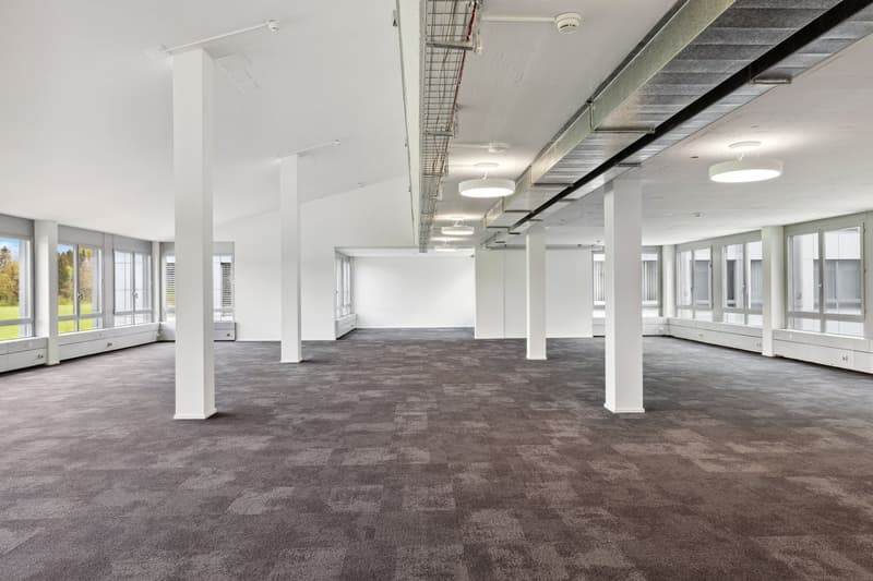 Empty room with carpeted floor, large windows, multiple round ceiling lights.