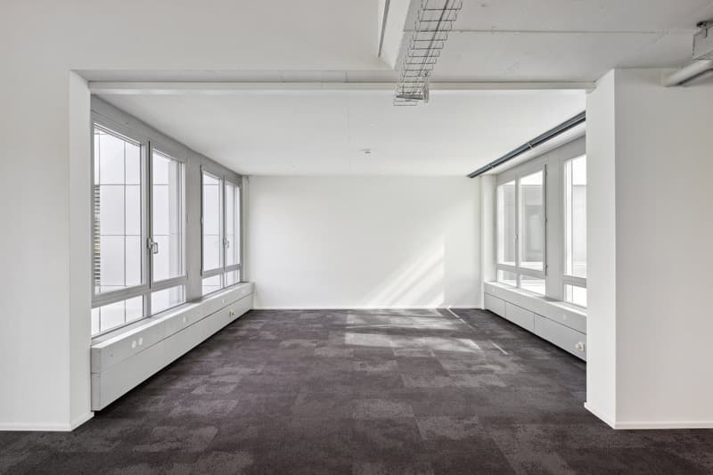 empty room with carpeted floor, large windows, white walls, and ceiling with a pipe and a light