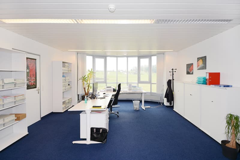 white walls, white furniture, carpeted floor, large window with view, plants, desks, chairs