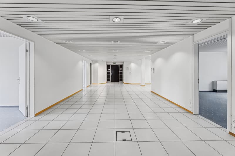 Bürofläche im Atrium Cham (4)