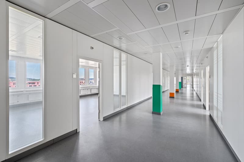 white walls, glass doors, gray floor, windows