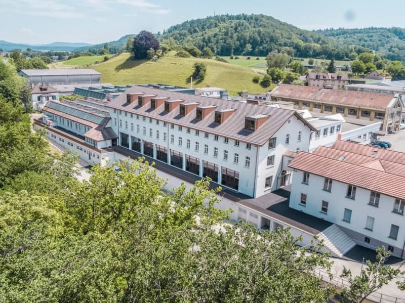 Large building with multiple windows, brown roof, surrounded by trees and greenery, with a mountain in the background
