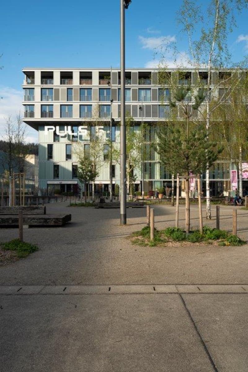 600m² flexible Büroflächen im Trend-Quartier Zürich-West (5)