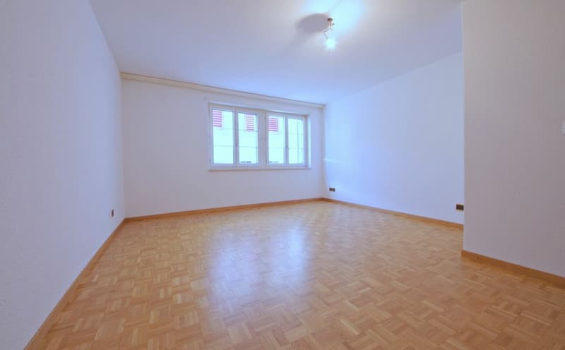 3.5-ZIMMER-WOHNUNG (5)