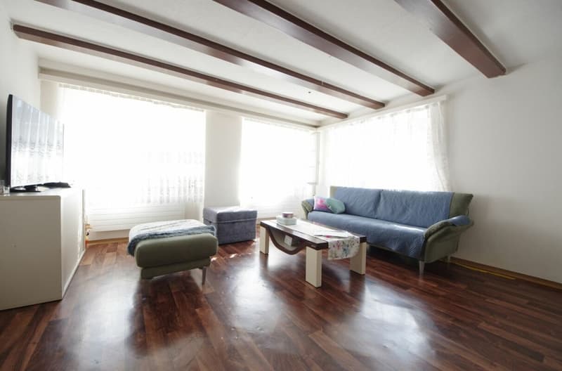 ALTBAU MIT STIL (7)