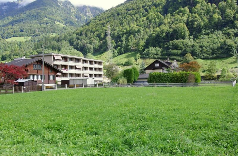 BAUEN IN LINTHAL (2)