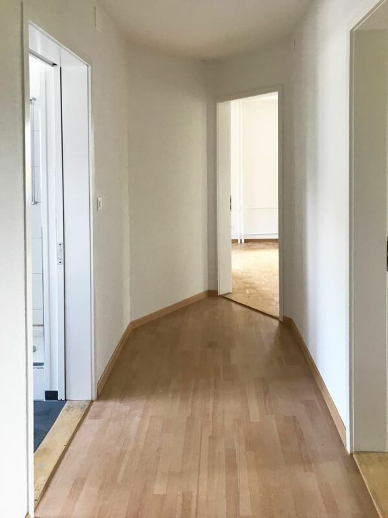 Sanierte Altbauwohnung an wunderschöner und ruhiger Lage (10)