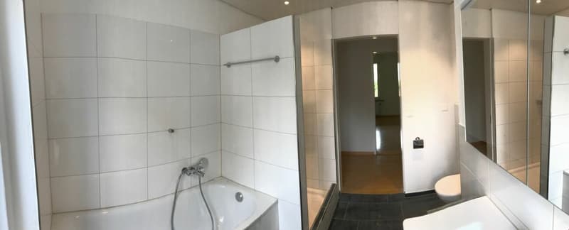 Sanierte Altbauwohnung an wunderschöner und ruhiger Lage (12)