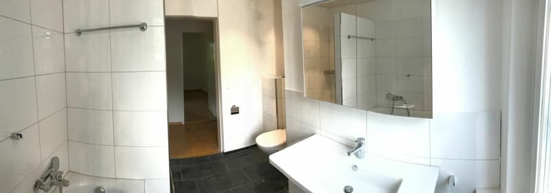 Sanierte Altbauwohnung an wunderschöner und ruhiger Lage (13)