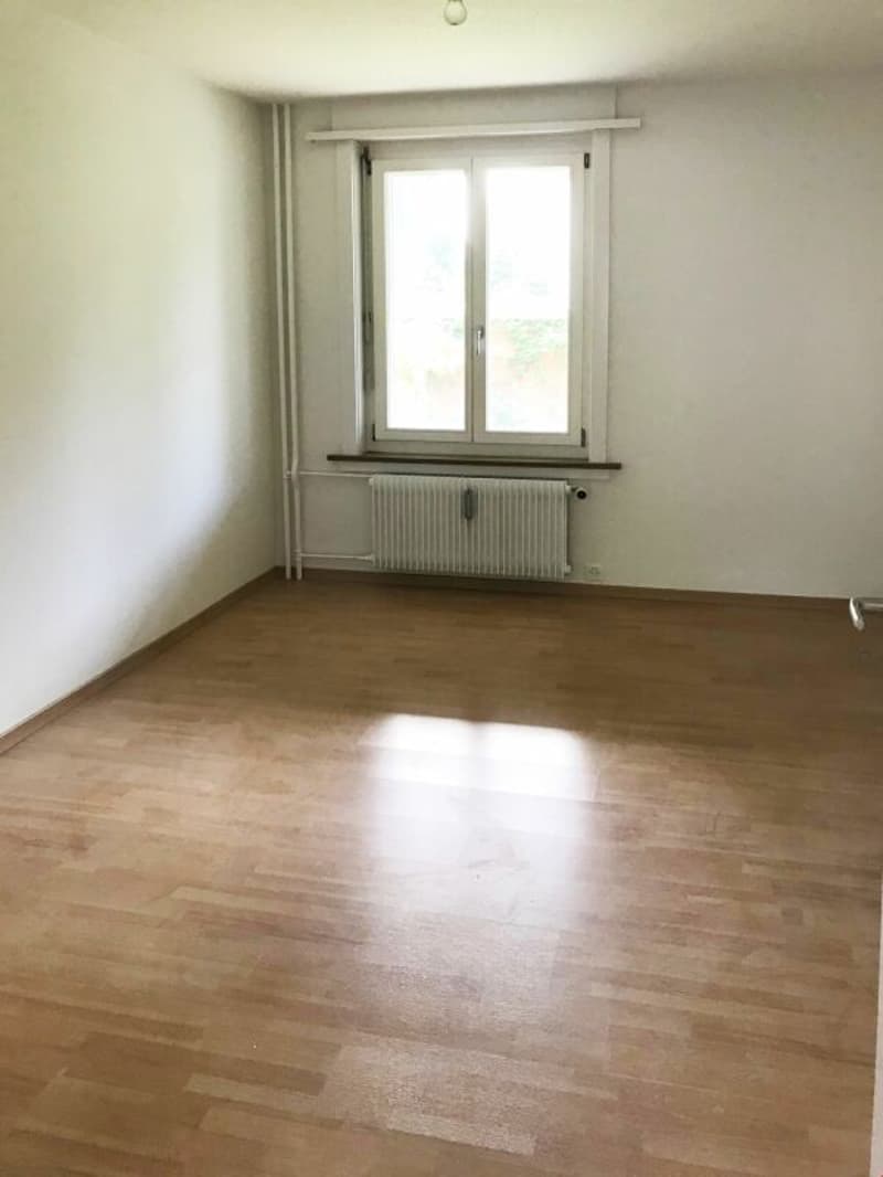 Sanierte Altbauwohnung an wunderschöner und ruhiger Lage (9)