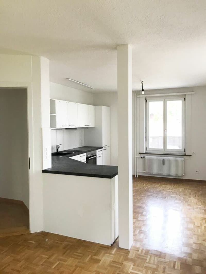 Sanierte Altbauwohnung an wunderschöner und ruhiger Lage (6)