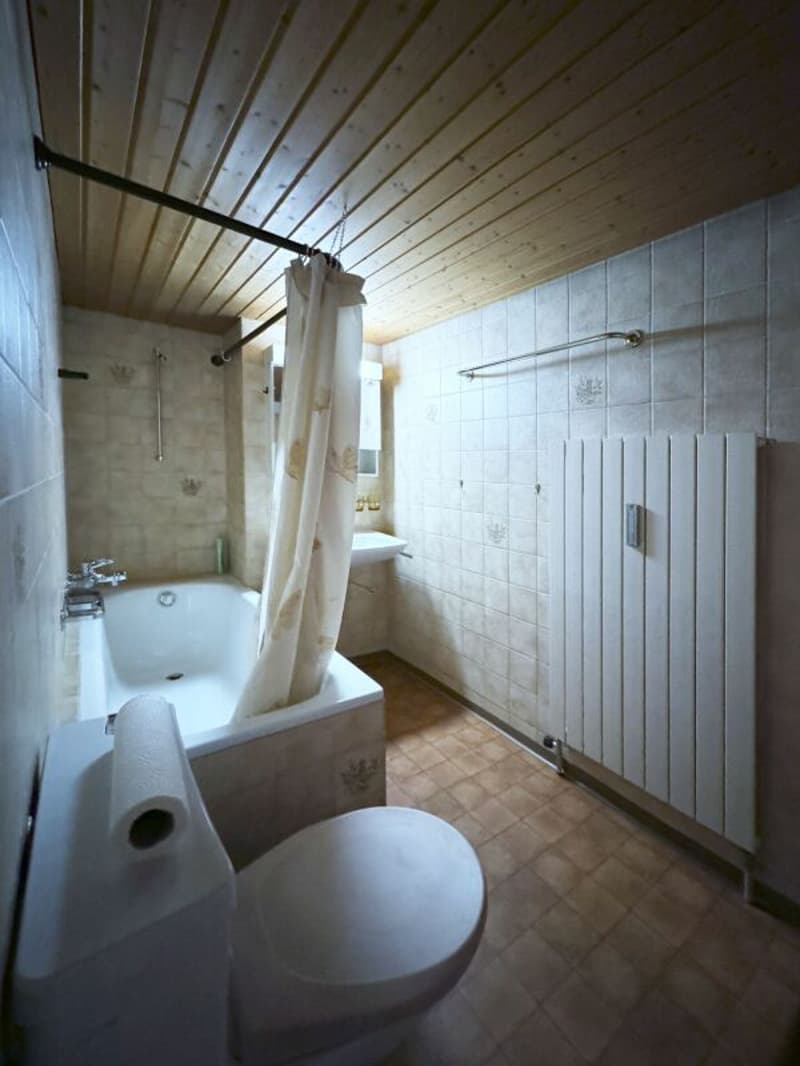 Kleine 2.0 Zi-Dachwohnung in der Altstadt, praktisch am Seeufer (250m) (3)