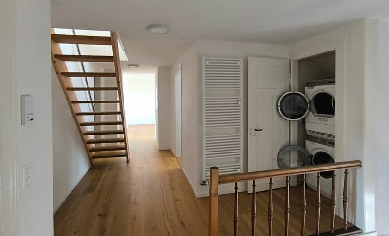 4-5½ Zimmer Maisonette-Dachwohnung (14)