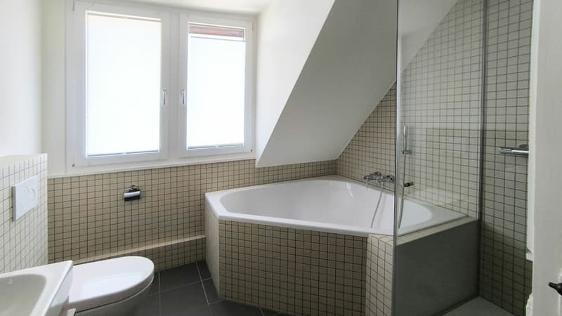 4-5½ Zimmer Maisonette-Dachwohnung (15)