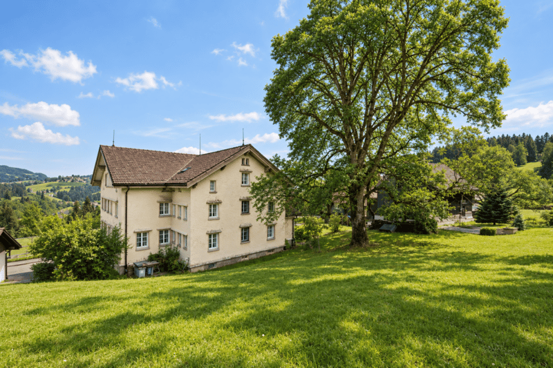 Traditionelles Appenzellerhaus (8)