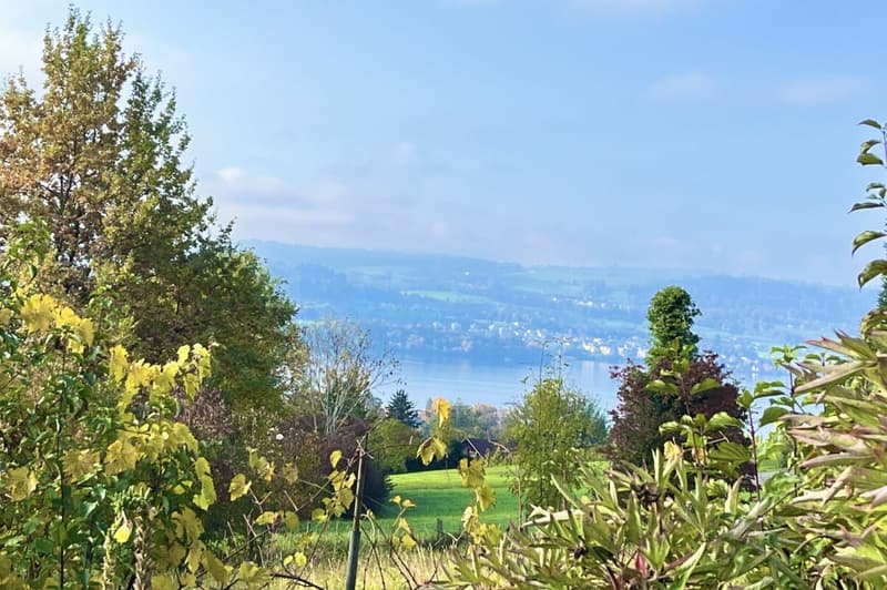 Deux propriétés avec une valeur de rareté et une vue sur le lac inobstructable ! (3)
